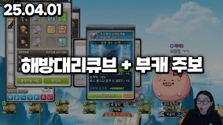 25.04.01 화요일｜해방대리큐브 + 부캐보스레이드