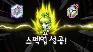 스펙업 성공! 다음 목표에 도전해볼까? (빌드업, 시드…