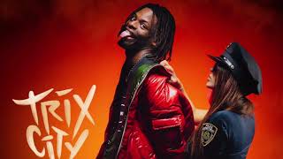 Diddi Trix  Wow PAROLES