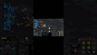 스타크래프트 내가 혼자 노는방법