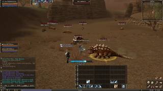 리니지2 클래식 20 북미서버 XPSP 5배 드랍 3배 한글패치