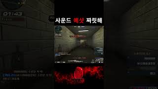 [서든어택] 사운드 예샷은 못참지~