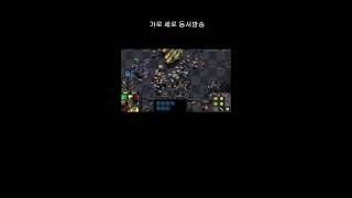 4:4 스타 빨무 라이브 [김해 개초보] starcra…