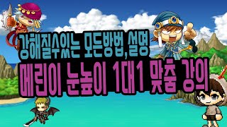 [메이플스토리m] 메린이 눈높이 1대1 맞춤 강의 강해…