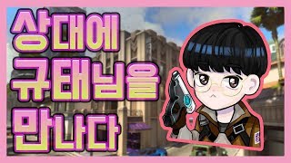 할리우드 상대에 천상계빡고수 규태님이    ㅣ오버워치 …