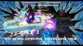 [겟앰프드] 망자의 미궁 레이드(망미 레이드  , 망레) 공략집 초보자용 가이드북