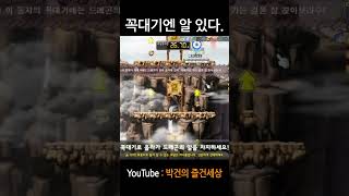 메이플 스토리 드래곤의 알 5초컷