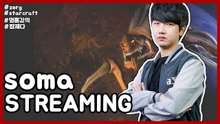 스타크래프트 짭제TV 래더1등미션&강의방송