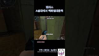 [서든어택]팰리스 A설대에서 백화점대문폭 #서든어택 #서든 #위폭 #랭크전