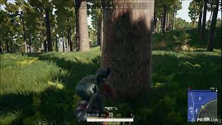 배틀그라운드 실시간 스트리밍 by 도하