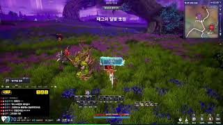 [블소네오] 린서버 던전 교육팟 지금 시작합니다  #BNSNEO