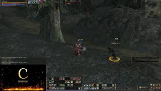 리니지2클래식 크로니클4버젼 해외서버 궁팟구성중 나좀 …