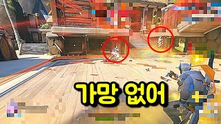 가망이 없을때 보라둥이가 도와준다면? | 오버워치2