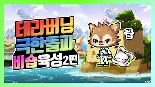 메이플스토리 테라버닝극한돌파 비숍육성 2편210 포기