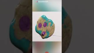 Try not to say wow challenge w…