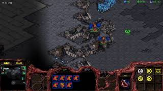 [21.01.31] 스타크래프트 A저그 주말 래더~