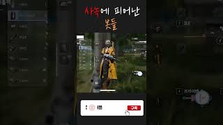 사녹에 피어난 봇들 #배그 #배틀그라운드 #배린이 #shorts