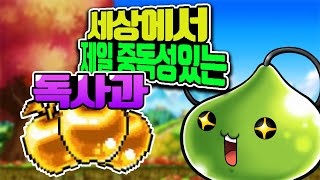 [메이플m] 10월 골드애플 리뷰와 뽑기!