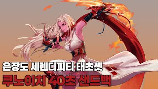 [던전앤파이터] 은장도 태거시 세렌디피티 세트 쿠노이치 40초 샌드백