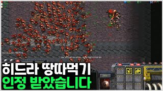 고인물 유즈맵에서 '인정' 받았습니다｜히드라 땅따먹기 …