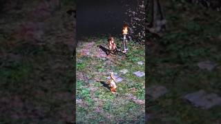 (디아블로2) 약간의 설명 추가? 2025년 08월 07일(목) 게임속 나의 이야기들 (