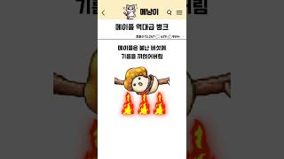 옛날 메이플 역대급 병크