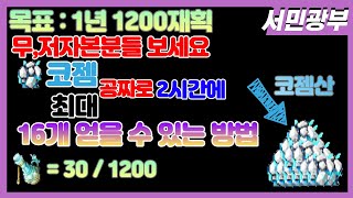 하루 4재획 이상하는 美친 패파광부(메이플스토리,메이플…