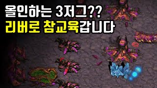 올인하는 3저그 리버로 참교육하겠습니다 【빨무 스타크래…