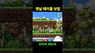 옛날메이플 보법