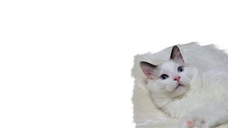 메트로로얄 | 클랜원 오랜만에 복귀하심 | 배틀그라운드…