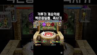 격투가 계승 개사기다.. #겟앰 #백은용발톱 #계승악세…