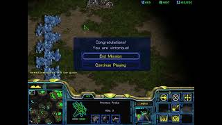 스타크래프트 전프로지망생 짱민