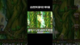 십년만에 들어온 메이플스토리
