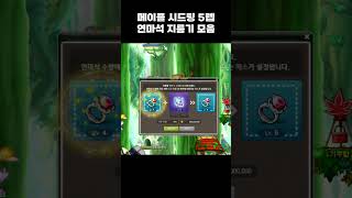 메이플 시드링 5렙 생명의연마석 지름기 모음