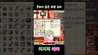 와헌이 야옹이를 내려친다고??#shorts #메이플스토…