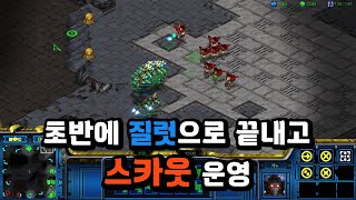초반에 질럿으로 끝내고 스카웃 운영 갑니다 #스타크래프트 #프로토스 #래더 #날빌 #전략 #게임