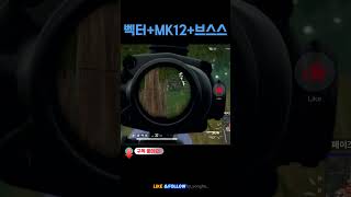 벡터+MK12+브스스로 치킨!  #배틀그라운드 #배그 …