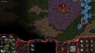 [21.02.06] 스타크래프트 A저그 래더~