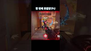 한조 한 번에 못잡았구나 #오버워치 #오버워치2 #ow2 #overwatch2