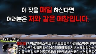 하루를 되돌아보니 메창이 되어있었다 메이플스토리