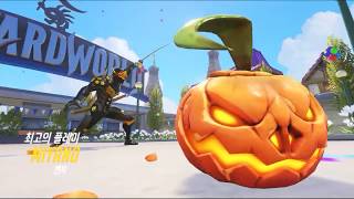 오버워치 하즈앙