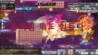 [메이플스토리] 비숍 하드루시드 솔플