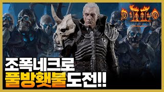 디아블로2레저렉션네크로 풀방 횃불도전했습니다. #디아블…