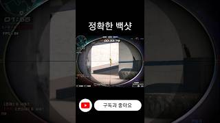 [서든어택] 정확한 백샷