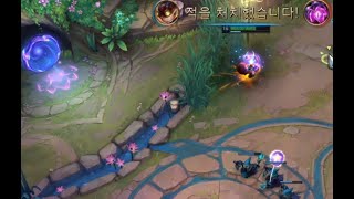 [리그오브레전드] 내 맘대로 빌드 : 직스는 과연 얼마나 좋을까