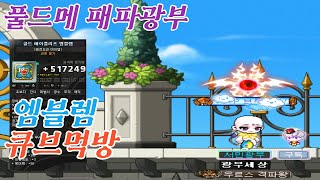 풀드메 패파광부 엠블렘 큐브먹방,1재획(메이플,메이플스…