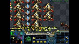 스타크래프트 실화냐? / Real in Starcraft?!