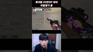 서든 희귀템 20만SP 짜리 비밀ᄇ…