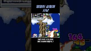 【메이플 랜드】 댕댕이 삼형제 사냥 / 61 파이터