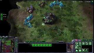 스타크래프트3 (Beta) Live